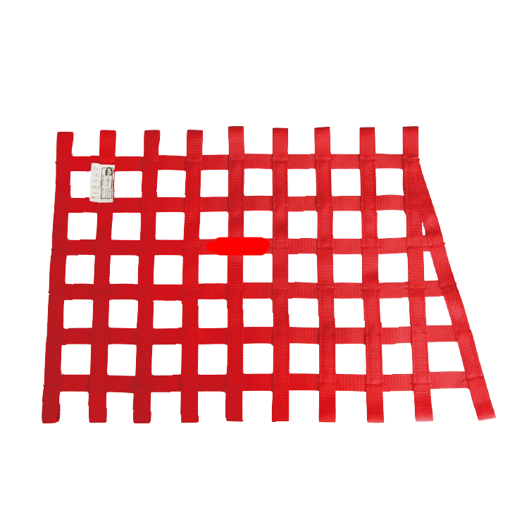 SFI Window Net for Car Racing
