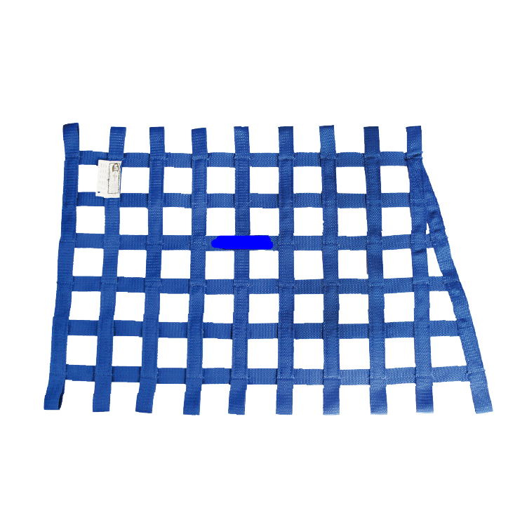 SFI Window Net for Car Racing